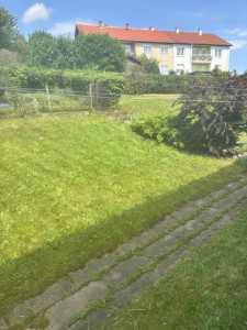 Photo de galerie - Tonte de gazon. 