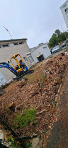 Photo de galerie - Avant dessouchage de haie 