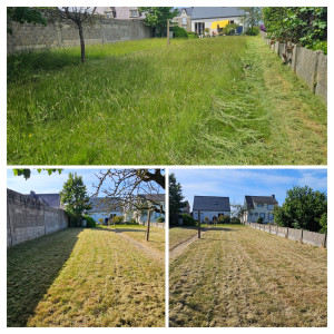 Photo de galerie - Tonte de pelouse - Débroussaillage