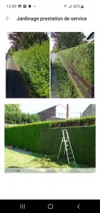 Photo de galerie - Jardinier