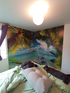 Photo de galerie - Décolleuse à papier peint