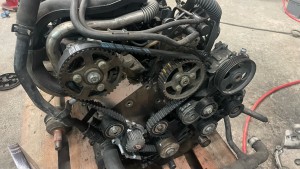 Photo de galerie - Distribution 