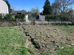 Photo de galerie - Tonte de pelouse - Débroussaillage