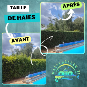 Photo de galerie - Avant-après d'une taille de haie