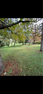 Photo de galerie - Tonte 
