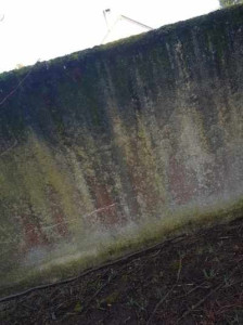 Photo de galerie - Couverture - Toiture