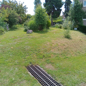 Photo de galerie - Tonte de pelouse - Débroussaillage