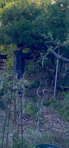 Photo de galerie - .