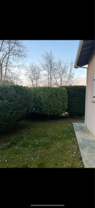 Photo de galerie - Taille haie