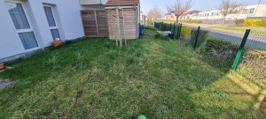 Photo de galerie - Tonte de pelouse - Débroussaillage