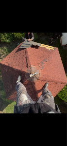 Photo de galerie - Couverture - Toiture