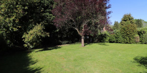 Photo de galerie - Jardin particulier 270 m°²
