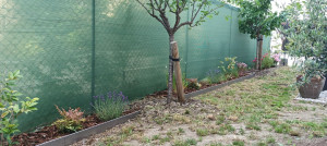 Photo de galerie - Paysagiste - Aménagement du jardin
