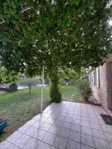 Photo de galerie - Vigne 