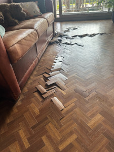 Photo de galerie - Parket collé