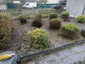 Photo de galerie - Préparation de jardin pour l'hiver.... Après 