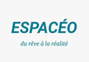 Photo de galerie - Société de piscine coque et béton ainsi que création aménagement paysager