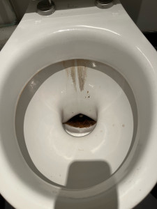 Photo de galerie - Nettoyage toilette