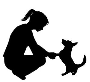 Photo de galerie - Garde chien