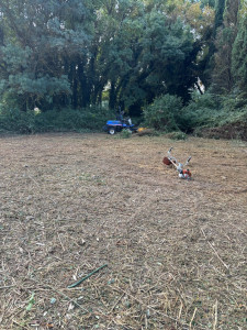 Photo de galerie - Tonte de pelouse - Débroussaillage
