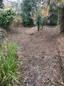 Photo de galerie - Tonte de pelouse - Débroussaillage