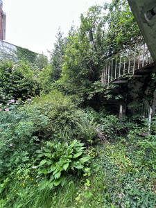 Photo de galerie - Abattage d’arbres et d’arbustes avec évacuation 