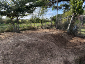 Photo de galerie - Elagage et coupe d'arbres