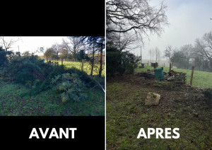 Photo de galerie - Arbre tombée suite tempête. coupe + évacuation 