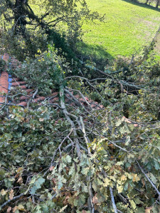 Photo de galerie - Dégagement d’un toit car la tempête avait fait tomber l’arbre sur le toît