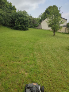 Photo de galerie - Tonte de pelouse - Débroussaillage