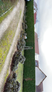 Photo de galerie - Taille de haies et d'arbustes