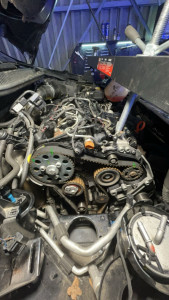 Photo de galerie - Distribution 