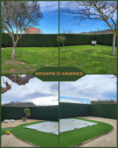 Photo de galerie - Taille de haie de thuya