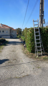 Photo de galerie - Taille de haie 
