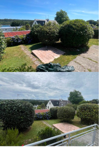 Photo de galerie - Taille de haies et d'arbustes