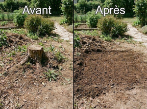Photo de galerie - Dessouchage manuel et mécanique sans engin lourd, idéal pour préserver vos pelouses et accéder aux espaces étroits sans abîmer votre terrain.