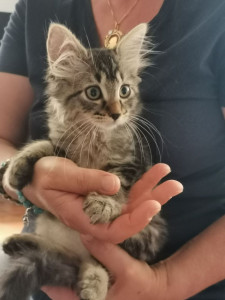 Photo de galerie - Mia à croquer 