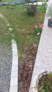 Photo de galerie - Paysagiste - Aménagement du jardin