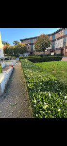 Photo de galerie - Haie 