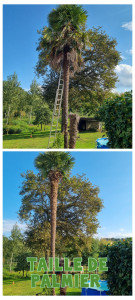 Photo de galerie - Jardinier