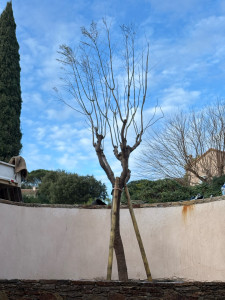 Photo de galerie - Après