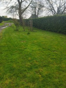 Photo de galerie - Tonte d'une pelouse 