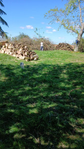 Photo de galerie - Rangement du bois 
