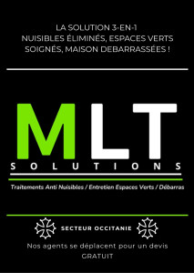 Photo de galerie - MLT Solutions