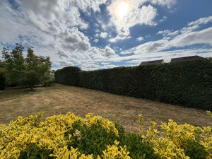 Photo de galerie - Taille de haie varié 