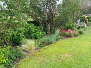Photo de galerie - Paysagiste - Aménagement du jardin