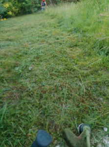 Photo de galerie - Entretien espace vert