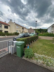 Photo de galerie - Taille de haies et d'arbustes