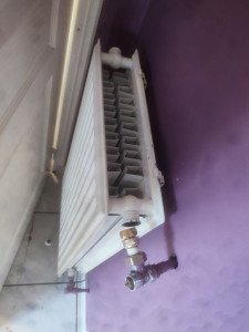 Photo de galerie - Changement de radiateur suite à une fuite 
