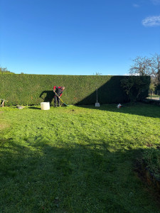 Photo de galerie - Taille de haie 